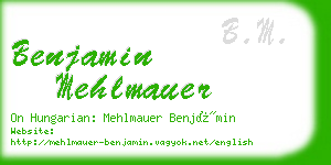 benjamin mehlmauer business card